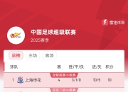 爱游戏体育在线-中超积分榜解析:4强争冠格局已成榜尾两队危险(中超积分榜完整版2021)