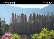 爱游戏体育在线-关于杨立瑜何时才能在国安迎来爆发？球迷为此开始支招，引发热议的信息