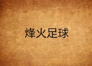 爱游戏体育官方-关于非洲足球烽火再起，一轮惊天比赛引发热议的信息