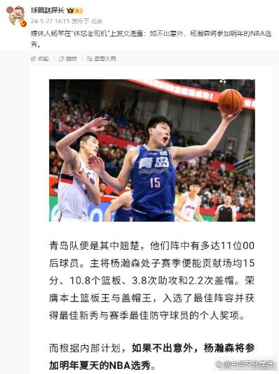 包含看低杨瀚森的专家们没有真了解他的词条
